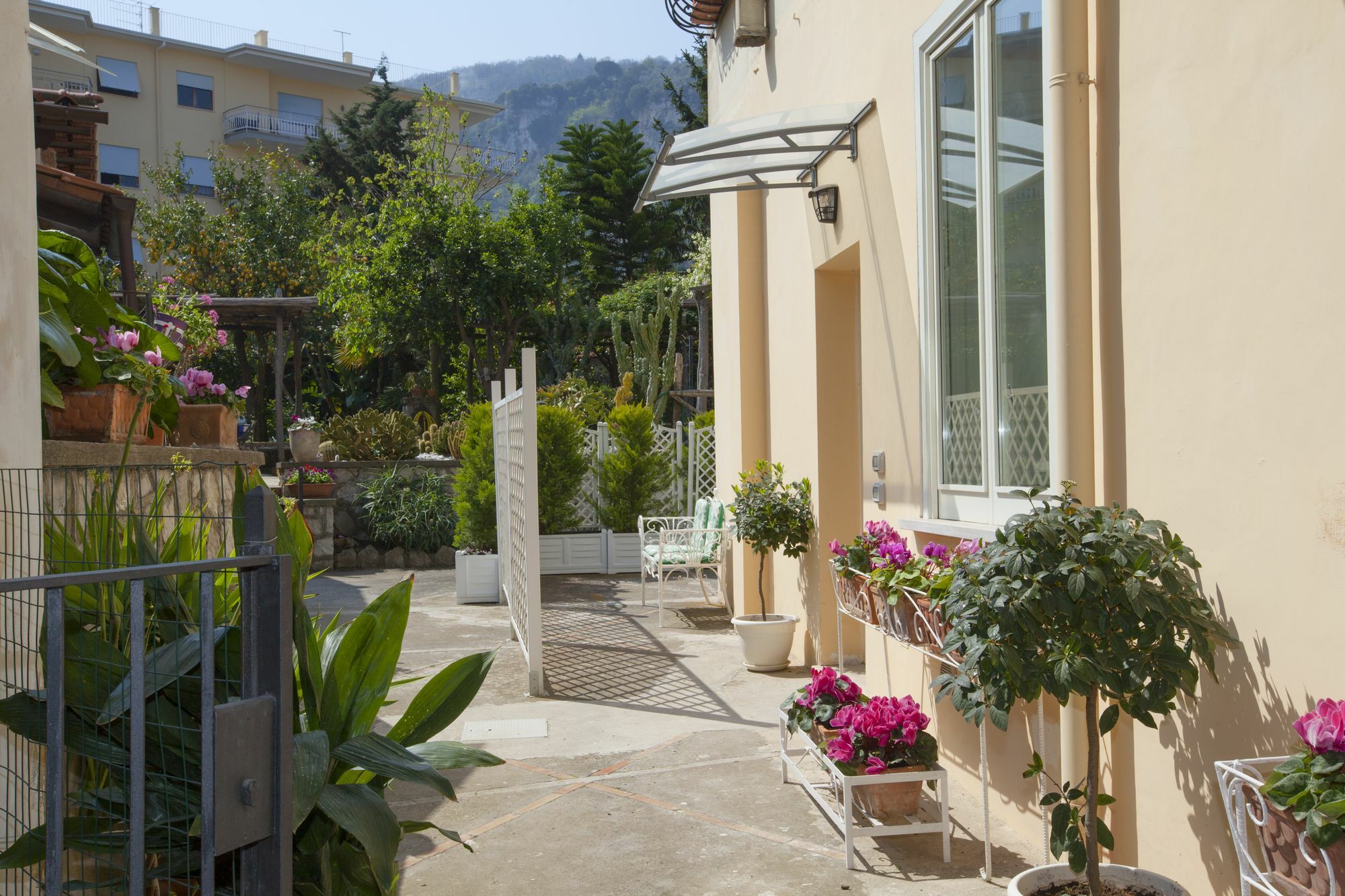 Dreaming Sorrento Suites Exteriör bild